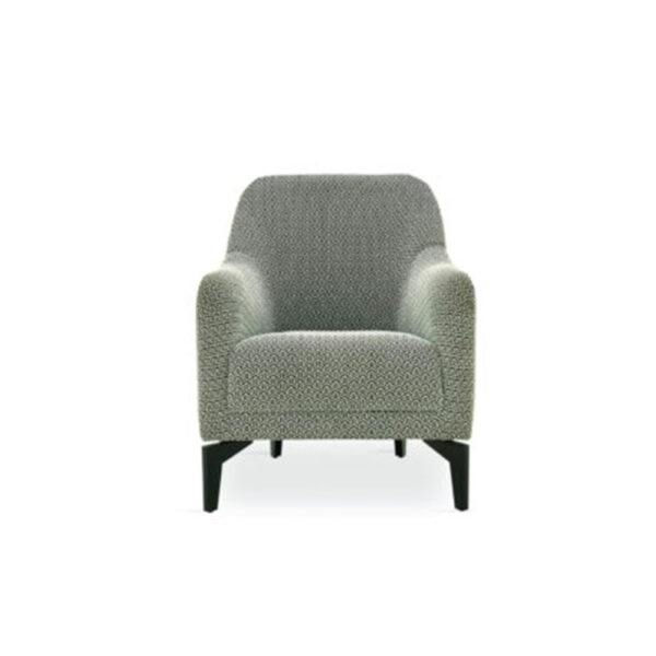 Maison Sofa ARMCHAIR Modern and Ergonomic