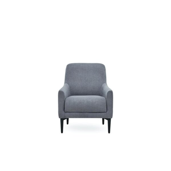 Briza Sofa ARMCHAIR Contemporary Decoration