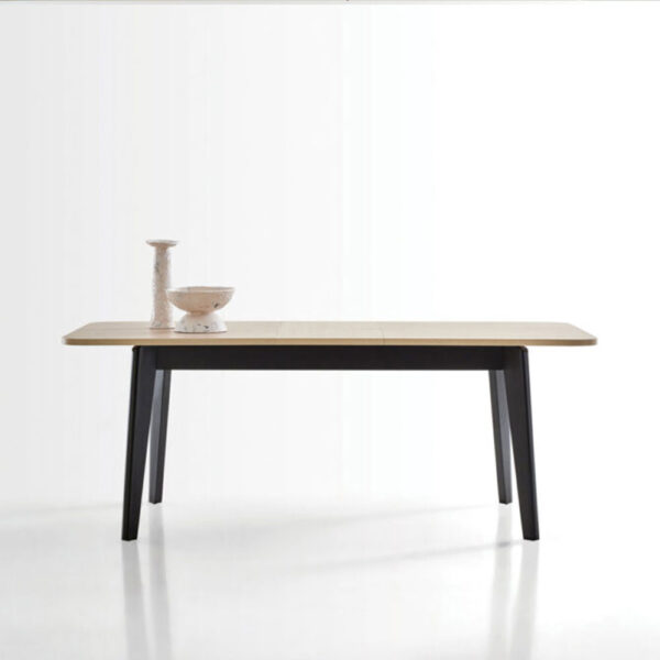 TERRA DINING TABLE