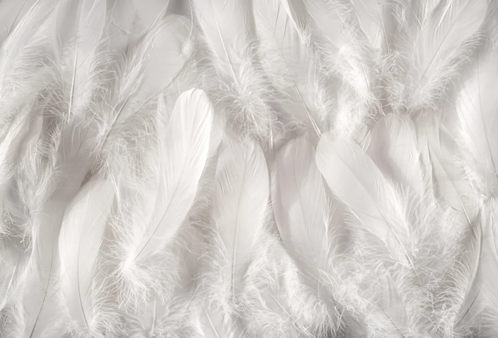 27da5954-ef17-4476-a2af-eaaa85e96a43